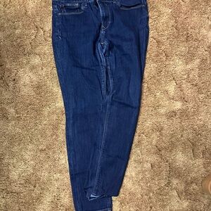 Express Dark Blue Denim Jeans